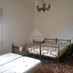 Rent 5 bedroom apartment of 80 m² in Castelvetrano