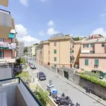 Rent 2 bedroom apartment of 45 m² in Genoa