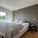 Huur 4 slaapkamer huis van 1050 m² in Dikkelvenne