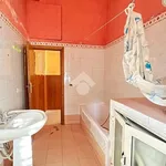 Rent 2 bedroom apartment of 60 m² in Catania