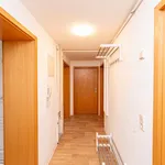 Rent 5 bedroom apartment in Berlin