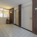 Huur 2 slaapkamer appartement van 45 m² in Tiel