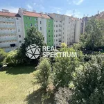 Rent 3 bedroom apartment of 70 m² in Brno