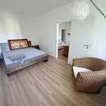 Rent 2 bedroom apartment of 45 m² in Praha