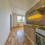 Rent 3 bedroom apartment in Přerov