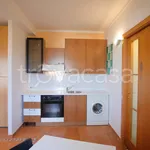 Rent 1 bedroom apartment of 50 m² in Roma