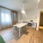 Rent 1 bedroom apartment of 65 m² in Fiorenzuola d'Arda