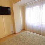 Rent a room in zaragoza