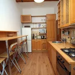 Rent 1 bedroom apartment of 37 m² in Prague