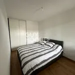 Rent 3 bedroom apartment of 56 m² in GRENADE