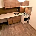 Rent 1 bedroom apartment in Most