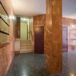 Rent 4 bedroom apartment in Madrid