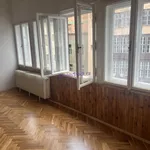 Rent 4 bedroom apartment of 131 m² in Praha