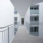 Rent 3 bedroom apartment of 88 m² in 4020 Linz