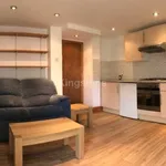 Rent 1 bedroom flat in Newport Road