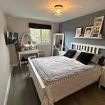 Property to rent in Falcon Road, Guildford GU1