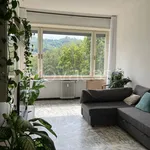 Rent 3 bedroom apartment of 80 m² in Torino