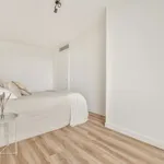 Huur 3 slaapkamer appartement van 73 m² in Buikslotermeer