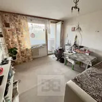 Rent 1 bedroom apartment in Praha 4