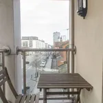 Rent 1 bedroom apartment in Dublin