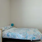 Rent a room in zaragoza