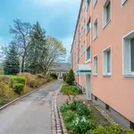 Rent 3 bedroom apartment of 60 m² in Chemnitz