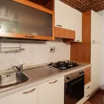 Rent 1 bedroom apartment of 35 m² in turin