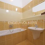 Rent 1 bedroom house of 338 m² in Prague