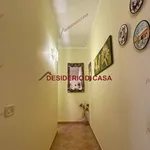 Affitto 4 camera casa di 68 m² in Campofelice di Roccella