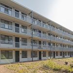 Huur 1 slaapkamer appartement van 75 m² in IJmuiden