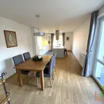 Rent 4 bedroom apartment of 90 m² in Pilsen