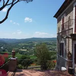 Rent 10 bedroom house of 320 m² in Todi