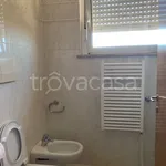 Rent 1 bedroom apartment of 50 m² in Roma