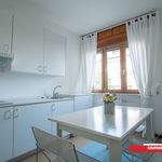Affitto 2 camera appartamento di 50 m² in Novara