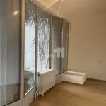 Pronajměte si 2 ložnic/e byt o rozloze 90 m² v Praha