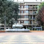 Rent 1 bedroom apartment in Cesano Boscone