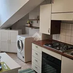 Rent 2 bedroom apartment of 35 m² in Turin