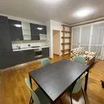 2-room flat new, first floor, Zola Predosa