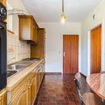 Rent 2 bedroom apartment in Oupeye