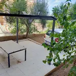 Rent 1 bedroom apartment of 115 m² in Bitritto