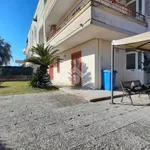 Rent 2 bedroom apartment of 55 m² in Latina