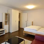 Rent 1 bedroom apartment of 42 m² in Zürich