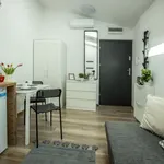 Rent 1 bedroom apartment of 16 m² in Łódź