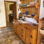 Rent 3 bedroom apartment of 80 m² in Alghero