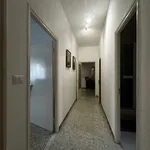 Affitto 3 camera appartamento di 120 m² in Roma