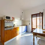 Rent 1 bedroom apartment in Genoa