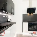 Rent 1 bedroom apartment of 33 m² in Brno