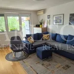 Rent 3 bedroom apartment of 79 m² in Zagreb