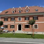 Rent 2 bedroom apartment of 58 m² in Fehring