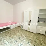 Rent 3 bedroom apartment of 80 m² in Modena